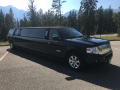 12 Passenger Ford Expedition SUV Stretch Limousine