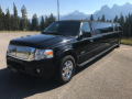 12 Passenger Ford Expedition SUV Stretch Limousine